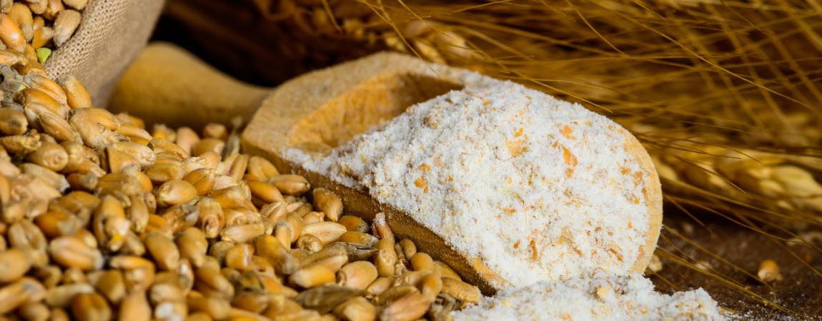 Mulino Romeo and the Ancient Grains of Sicily